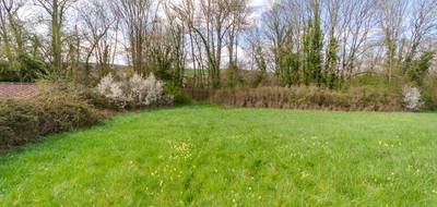 Terrain seul à Venizy en Yonne (89) de 16000 m² à vendre au prix de 69000€ - 4