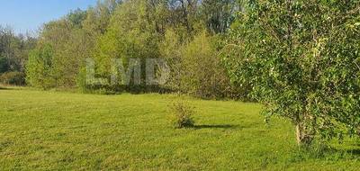 Terrain seul à Montdurausse en Tarn (81) de 1360 m² à vendre au prix de 49000€ - 4