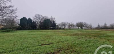 Terrain seul à Gaillan-en-Médoc en Gironde (33) de 1035 m² à vendre au prix de 79900€ - 4