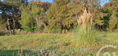 Terrain seul à Saint-Vivien-de-Médoc en Gironde (33) de 2934 m² à vendre au prix de 90000€ - 3