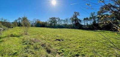 Terrain seul à Sainte-Marguerite en Vosges (88) de 11900 m² à vendre au prix de 59000€ - 3