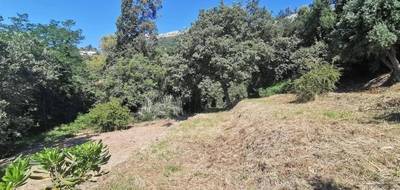 Terrain seul à Vence en Alpes-Maritimes (06) de 3090 m² à vendre au prix de 360000€ - 3