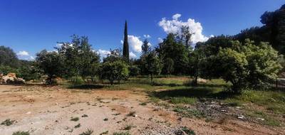 Terrain seul à Lorgues en Var (83) de 1092 m² à vendre au prix de 131000€ - 2