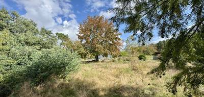 Terrain seul à Pessac en Gironde (33) de 2000 m² à vendre au prix de 350000€ - 3