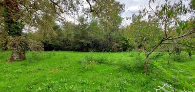 Terrain seul à Louchats en Gironde (33) de 1163 m² à vendre au prix de 106700€ - 2