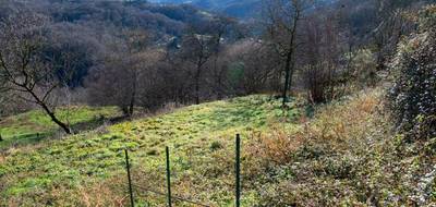 Terrain seul à Bordes-Uchentein en Ariège (09) de 20000 m² à vendre au prix de 65000€ - 1