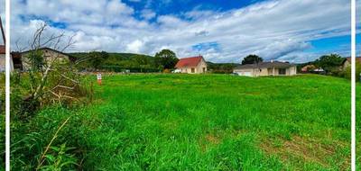 Terrain seul à Champoux en Doubs (25) de 1132 m² à vendre au prix de 85000€ - 2