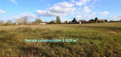 Terrain seul à Belluire en Charente-Maritime (17) de 3023 m² à vendre au prix de 29000€ - 1