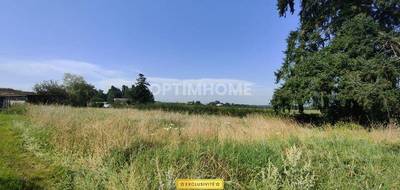 Terrain seul à Ciry-le-Noble en Saône-et-Loire (71) de 1645 m² à vendre au prix de 45000€ - 3