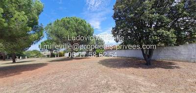 Terrain seul à Magalas en Hérault (34) de 1306 m² à vendre au prix de 195000€ - 2
