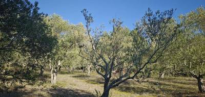 Terrain seul à Limoux en Aude (11) de 13000 m² à vendre au prix de 130000€ - 3