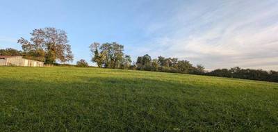 Terrain seul à Saint-Christophe en Allier (03) de 5782 m² à vendre au prix de 43000€ - 3