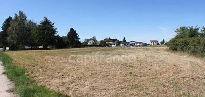 Terrain seul à Pleumartin en Vienne (86) de 3553 m² à vendre au prix de 17500€ - 3