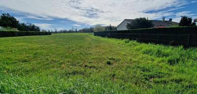 Terrain seul à Neuvic en Dordogne (24) de 1612 m² à vendre au prix de 40000€ - 3