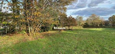 Terrain seul à Rieux en Morbihan (56) de 1351 m² à vendre au prix de 37622€ - 4