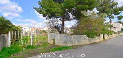 Terrain seul à Saint-Florent en Haute-Corse (2B) de 567 m² à vendre au prix de 273000€ - 1