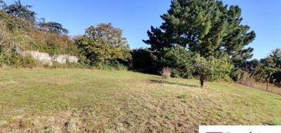 Terrain seul à Amilly en Loiret (45) de 1100 m² à vendre au prix de 75900€ - 4