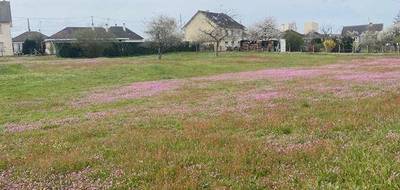 Terrain seul à Champagné en Sarthe (72) de 2675 m² à vendre au prix de 188000€ - 2