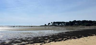 Terrain seul à Saint-Philibert en Morbihan (56) de 958 m² à vendre au prix de 230000€ - 2