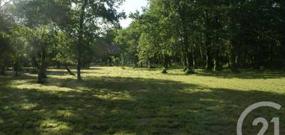 Terrain seul à Saint-Vivien-de-Médoc en Gironde (33) de 3960 m² à vendre au prix de 109300€ - 1