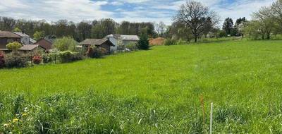 Terrain seul à Sorbey en Meuse (55) de 1580 m² à vendre au prix de 75000€ - 2