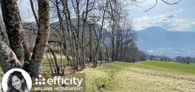 Terrain seul à Saint-Sigismond en Haute-Savoie (74) de 2156 m² à vendre au prix de 550000€ - 3