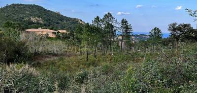 Terrain seul à Sari-Solenzara en Corse-du-Sud (2A) de 6000 m² à vendre au prix de 540000€ - 2