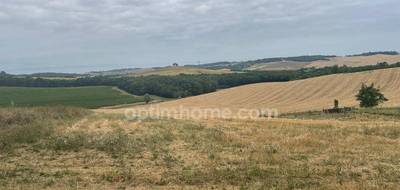 Terrain seul à Lévignac en Haute-Garonne (31) de 2500 m² à vendre au prix de 116000€ - 4