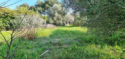 Terrain seul à La Seyne-sur-Mer en Var (83) de 704 m² à vendre au prix de 290000€ - 2