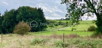 Terrain seul à Charleville-Mézières en Ardennes (08) de 977 m² à vendre au prix de 29000€ - 4