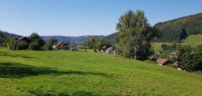 Terrain seul à Le Val-d'Ajol en Vosges (88) de 2683 m² à vendre au prix de 36600€ - 2