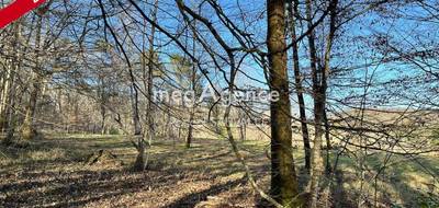 Terrain seul à Campsegret en Dordogne (24) de 23500 m² à vendre au prix de 31800€ - 4