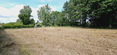 Terrain seul à Vrigny en Loiret (45) de 7969 m² à vendre au prix de 49990€ - 2