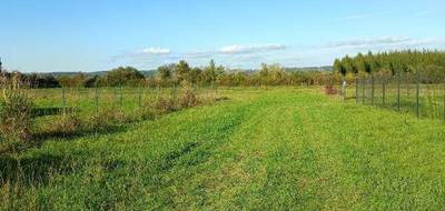 Terrain seul à Saint-Nicolas-de-la-Grave en Tarn-et-Garonne (82) de 552 m² à vendre au prix de 36000€ - 4