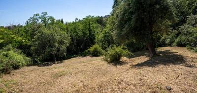 Terrain seul à Vence en Alpes-Maritimes (06) de 3090 m² à vendre au prix de 360000€ - 2