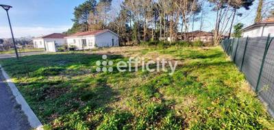 Terrain seul à Magescq en Landes (40) de 603 m² à vendre au prix de 145000€ - 2