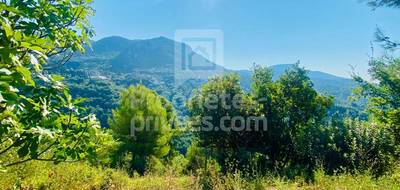 Terrain seul à Castagniers en Alpes-Maritimes (06) de 1400 m² à vendre au prix de 210000€ - 2