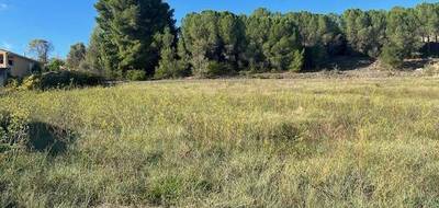 Terrain seul à Limoux en Aude (11) de 2850 m² à vendre au prix de 81000€ - 2