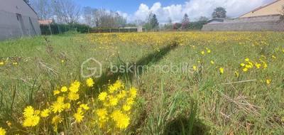 Terrain seul à Saint-Pompain en Deux-Sèvres (79) de 670 m² à vendre au prix de 19000€ - 3