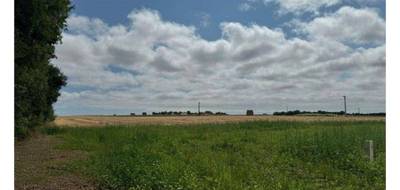 Terrain seul à Saint-Médard en Charente-Maritime (17) de 345 m² à vendre au prix de 103500€ - 2