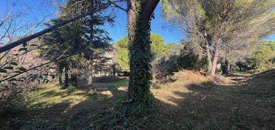 Terrain seul à Pégomas en Alpes-Maritimes (06) de 360 m² à vendre au prix de 175000€ - 4