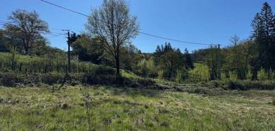 Terrain seul à Montrozier en Aveyron (12) de 952 m² à vendre au prix de 70500€ - 1