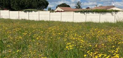 Terrain seul à Nalliers en Vendée (85) de 1060 m² à vendre au prix de 29000€ - 1