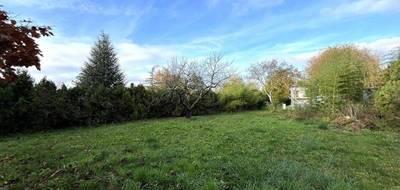 Terrain seul à Beaufort-en-Anjou en Maine-et-Loire (49) de 805 m² à vendre au prix de 36200€ - 1