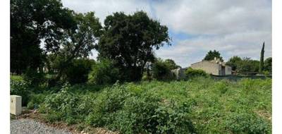 Terrain seul à Saint-Médard en Charente-Maritime (17) de 451 m² à vendre au prix de 122000€ - 1