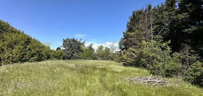 Terrain seul à Éguilles en Bouches-du-Rhône (13) de 1300 m² à vendre au prix de 540000€ - 2