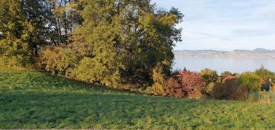Terrain seul à Lugrin en Haute-Savoie (74) de 638 m² à vendre au prix de 170000€ - 1