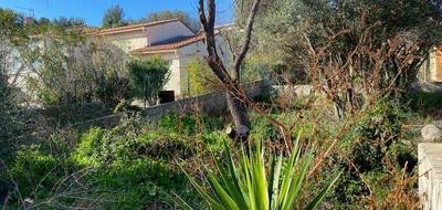 Programme terrain + maison à La Ciotat en Bouches-du-Rhône (13) de 286 m² à vendre au prix de 547000€ - 3