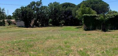 Terrain seul à Fréjus en Var (83) de 1192 m² à vendre au prix de 319000€ - 1