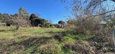 Terrain seul à Cannes en Alpes-Maritimes (06) de 500 m² à vendre au prix de 245000€ - 2